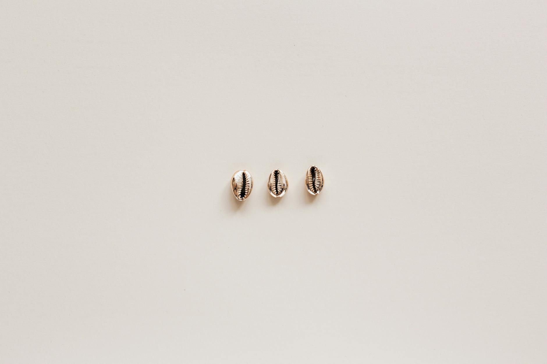 Trzy muszle ułożone na beżowym tle jako morska dekoracja