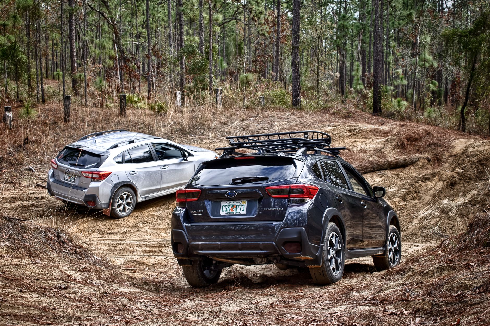 Dwa SUV-y Jeep jadą błotnistym leśnym szlakiem