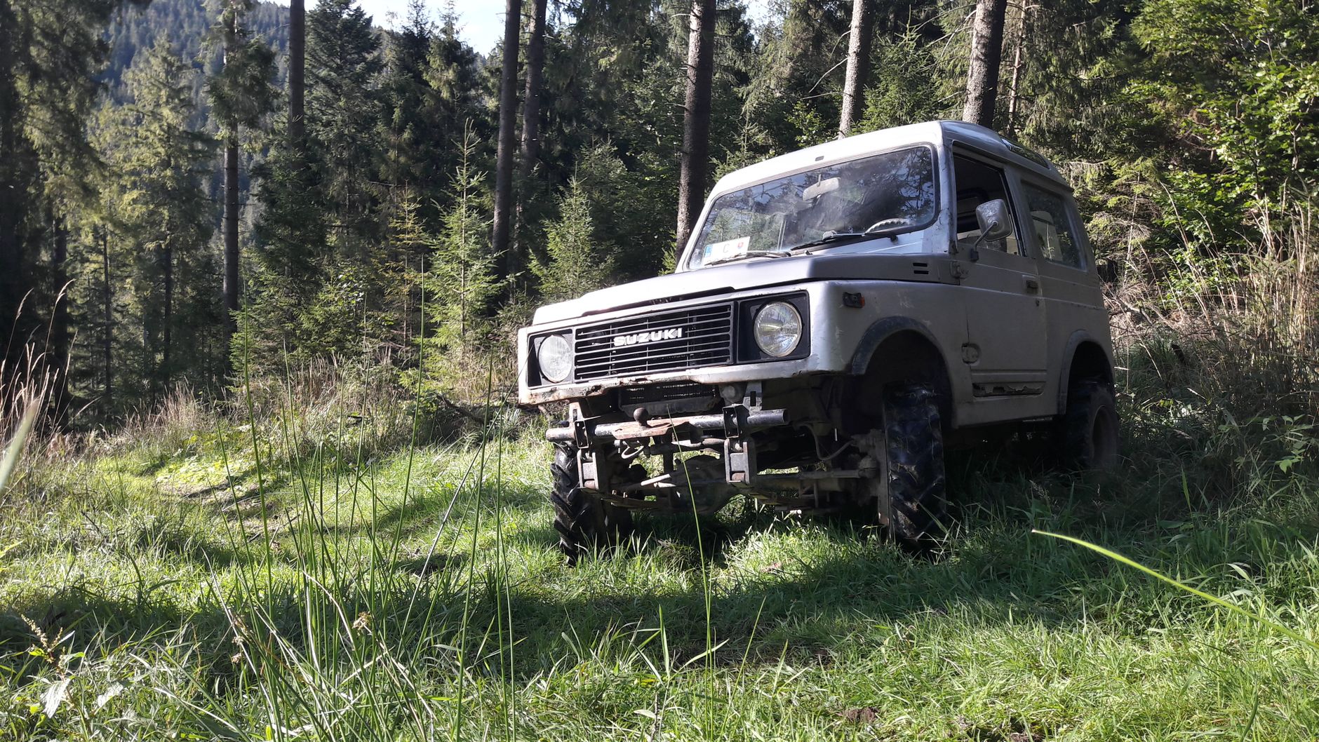 Jeep Renegade zaparkowany w zielonym lesie podczas terenowej wyprawy